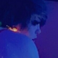 the.merr.cat Nue